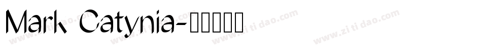Mark Catynia字体转换